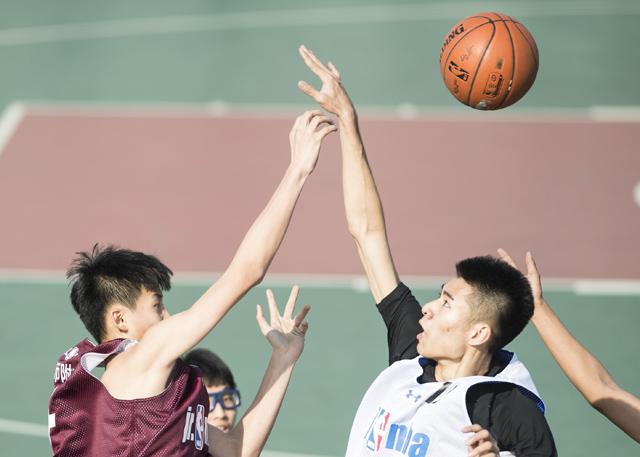 欲奴电视剧第一季在线看