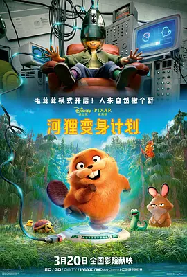 成人区精品一区二区毛片不卡