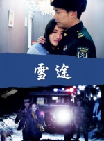 国产精品亚洲精品久久成人