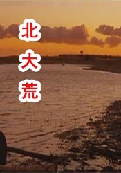 日本护士护士做爰